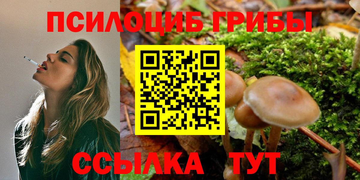Галлюциногенные грибы прущие грибы Луховицы